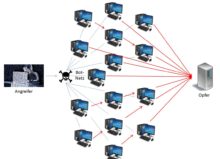 Schema: Für die DoS / DDoS Attacke machen sich Angreifer Sicherheitslücken von PCs zunutze, um Schadsoftware zu installieren, diese zu einem jederzeit aktivierbaren „Bot-Netz“ zusammenzuschließen und schließlich gezielte Angriffe auf den Zielserver auszuüben.