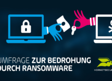 Hornetsecurity Umfrage zur Bedrohung durch Ransomware (Bild: Hornetsecurity GmbH)